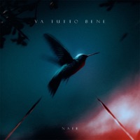Va tutto bene - Single - Nate