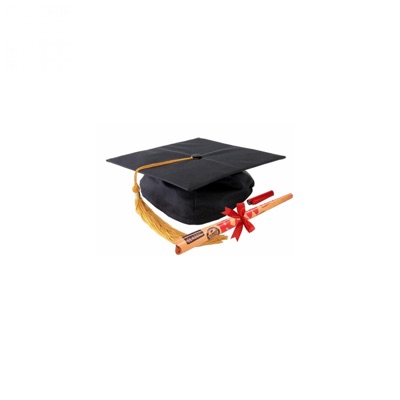 Dropout - Single