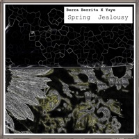 Spring Jealousy (feat. Yaye) - Berra Berrita