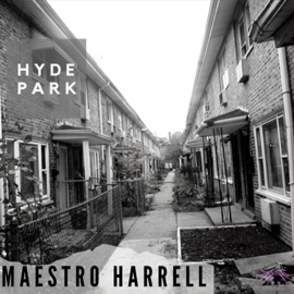 HYDE PARK (feat. M a E S T R O) Maestro Harrell