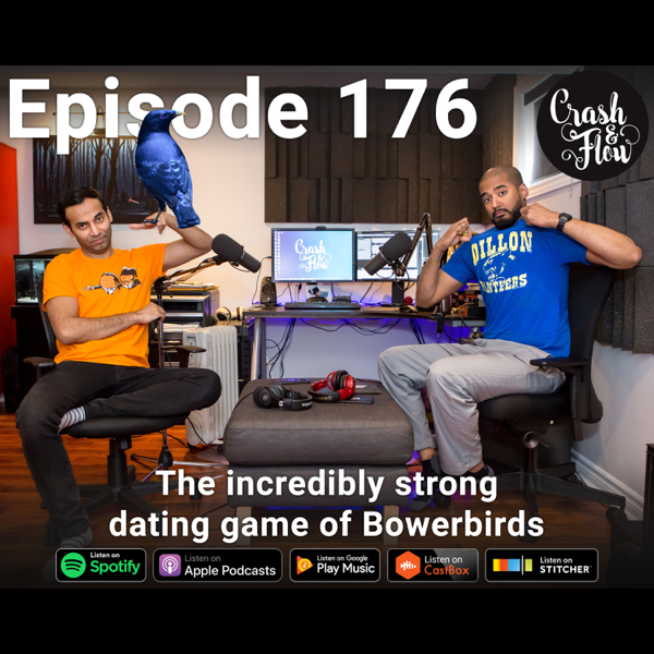 Dating-Trainer Podcast