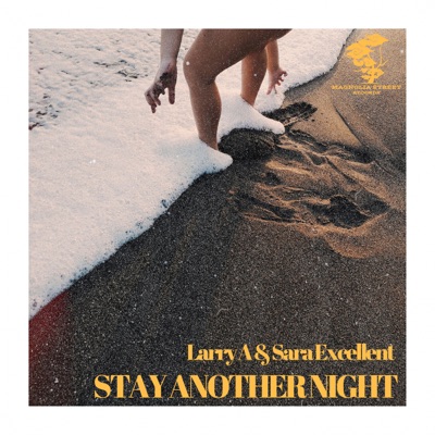 Stay Another Night - Single
