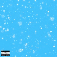 FLY (feat. WildBear) - Single