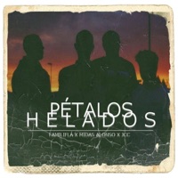 Petalos Helados - Single - Familifla, Jcc & Midas Alonso
