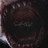 Shark - Single - Rosalvo