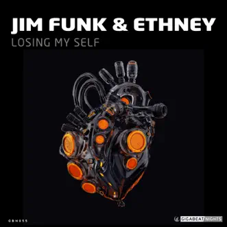 Losing Myself by Ethney & Jim Funk song reviws