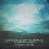 Cymbals eat Guitars Definite Darkness Lenses Alien