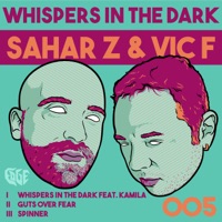 Whispers in the Dark - Single - Sahar Z & Vic F