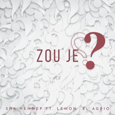 Zou Je? (feat. Lemon el Agrio) - Single