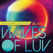 Waves of Luv (Frenk Dj & Daniele Sorrenti Remix) artwork