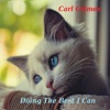 Doing the Best I Can - Single