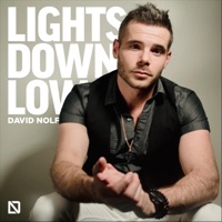 Lights Down Low - Single - David Nolf