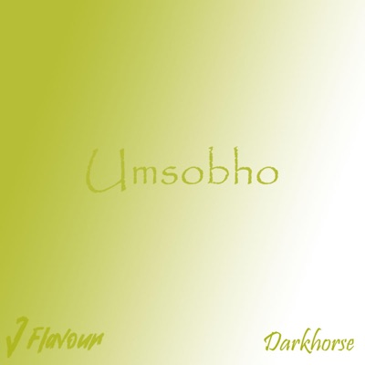 Umsobho (feat. Darkhorse) - Single