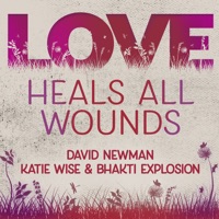 Love Heals All Wounds - Single - David Newman & Katie Wise & Bhakti Explosion
