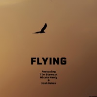 Flying (feat. Tim Stewart, Nicole Neely & Josh Baker) - Single - Tremaine Williams