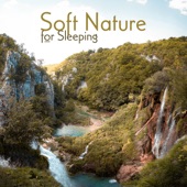 Soft Nature for Sleeping: Music Therapy, Stress Relief, Effective Sleep Session artwork