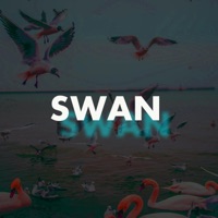 Swan - Single - Carl T