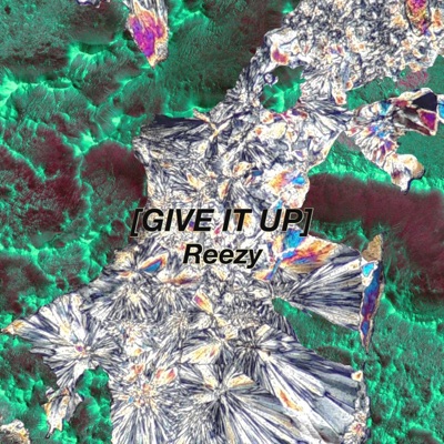 Give It Up - Single