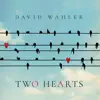 David Wahler - Always