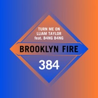 Turn Me On (feat. B4NG B4NG) - Single - Lliam Taylor