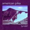 Tyndall - American Pika lyrics