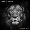 Love Has Won by Citizen Way iTunes Track 1