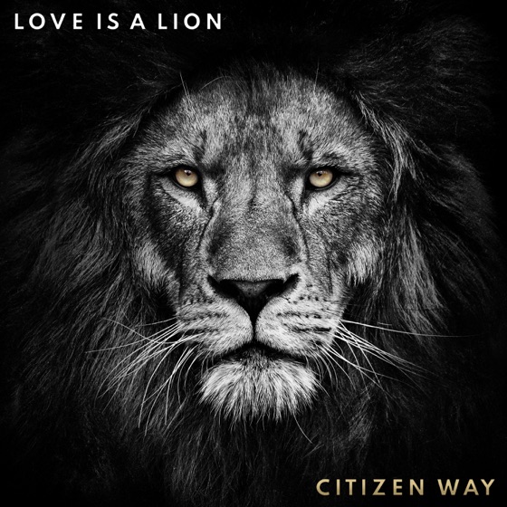 Cover artwork for Love Has Won