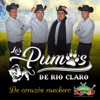 Los Pumas de Rio Claro