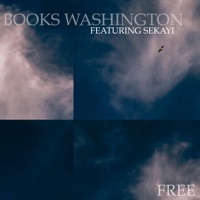 Free - Single - Books Washington, Motyka & Sekayi