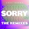 Sorry (Dots Per Inch Remix) - Joel Corry lyrics