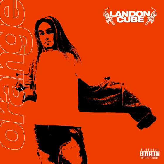 Cover artwork for 17 (feat. Lil Skies)