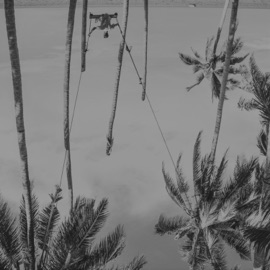 Swings. Elyts Sounds