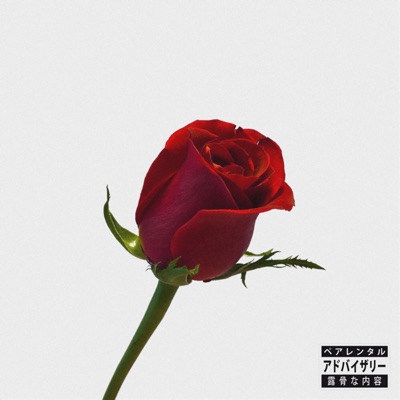 Rose - Single