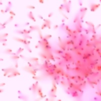 Cumulae Movement - EP - Offthesky