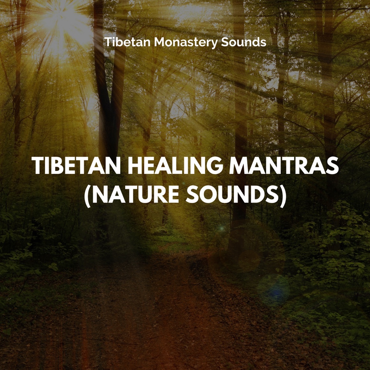 Tibetan Bells & Rain Sounds: Mood for Meditation - Album by Shiva Mantrya