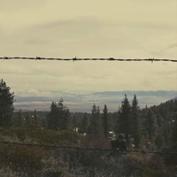 Flatline - Single - Reno