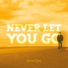 Never Let You Go - Single, 2019