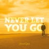 Never Let You Go - Single