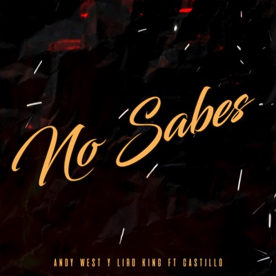 NO SABES (feat. Castillo) - Single