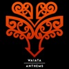 Sons Of Zion - Potere Ana / Drift Away