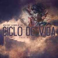Ciclo de Vida - Single - Josh D'ace