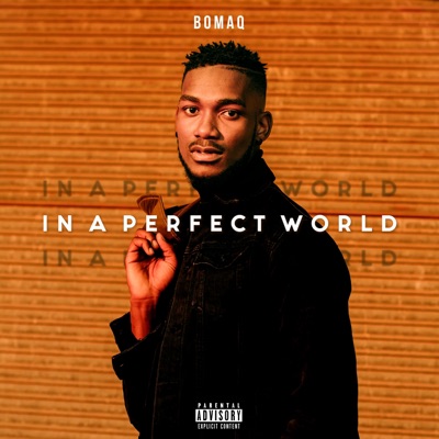 In a Perfect World - EP