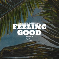 Feeling Good (feat. Skitz & Lil $unny) - Single - Thumpii