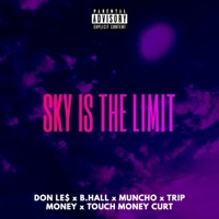 Sky Is the Limit (feat. B.Hall, muncho, trip Money & touch Money Curt) - Single - DON LE$