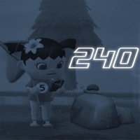 240 - Single - Marjety
