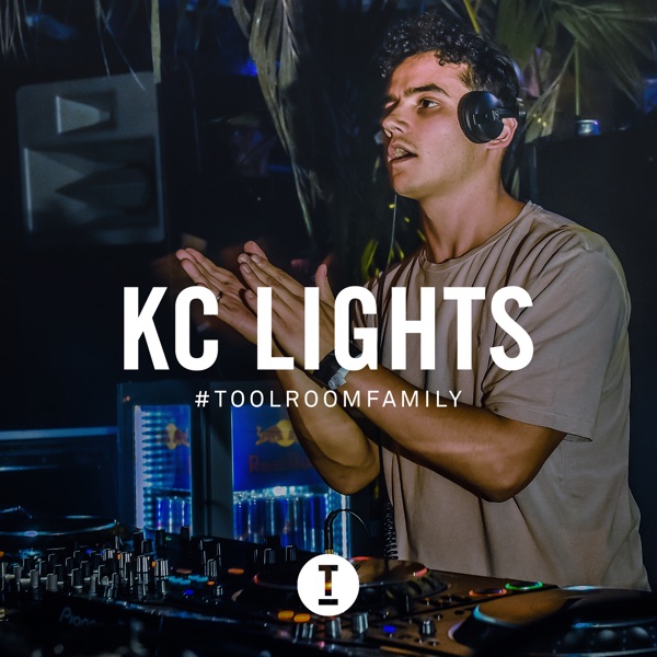 Toolroom Family (DJ Mix)