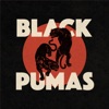 Black Pumas