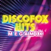 Discofox Hits Megamix, Vol. 1