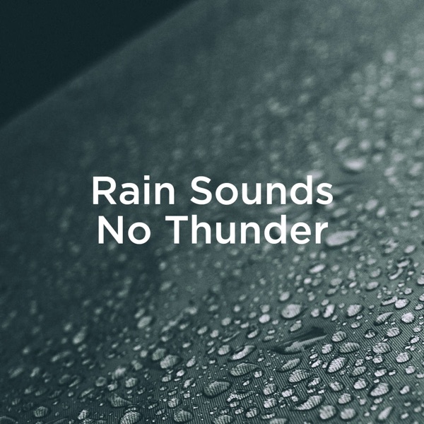 Rain Sounds No Thunder