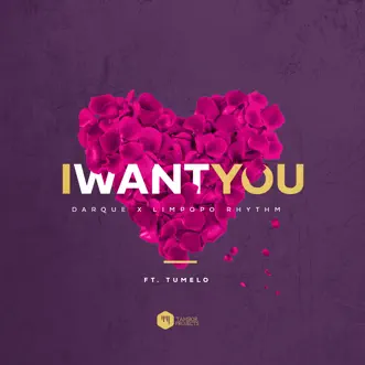 I Want You (feat. Tumelo) - Single by Darque & Limpopo Rhythm album reviews, ratings, credits